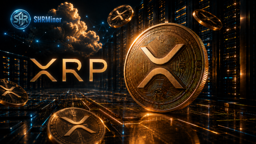 XRP Price Is Down